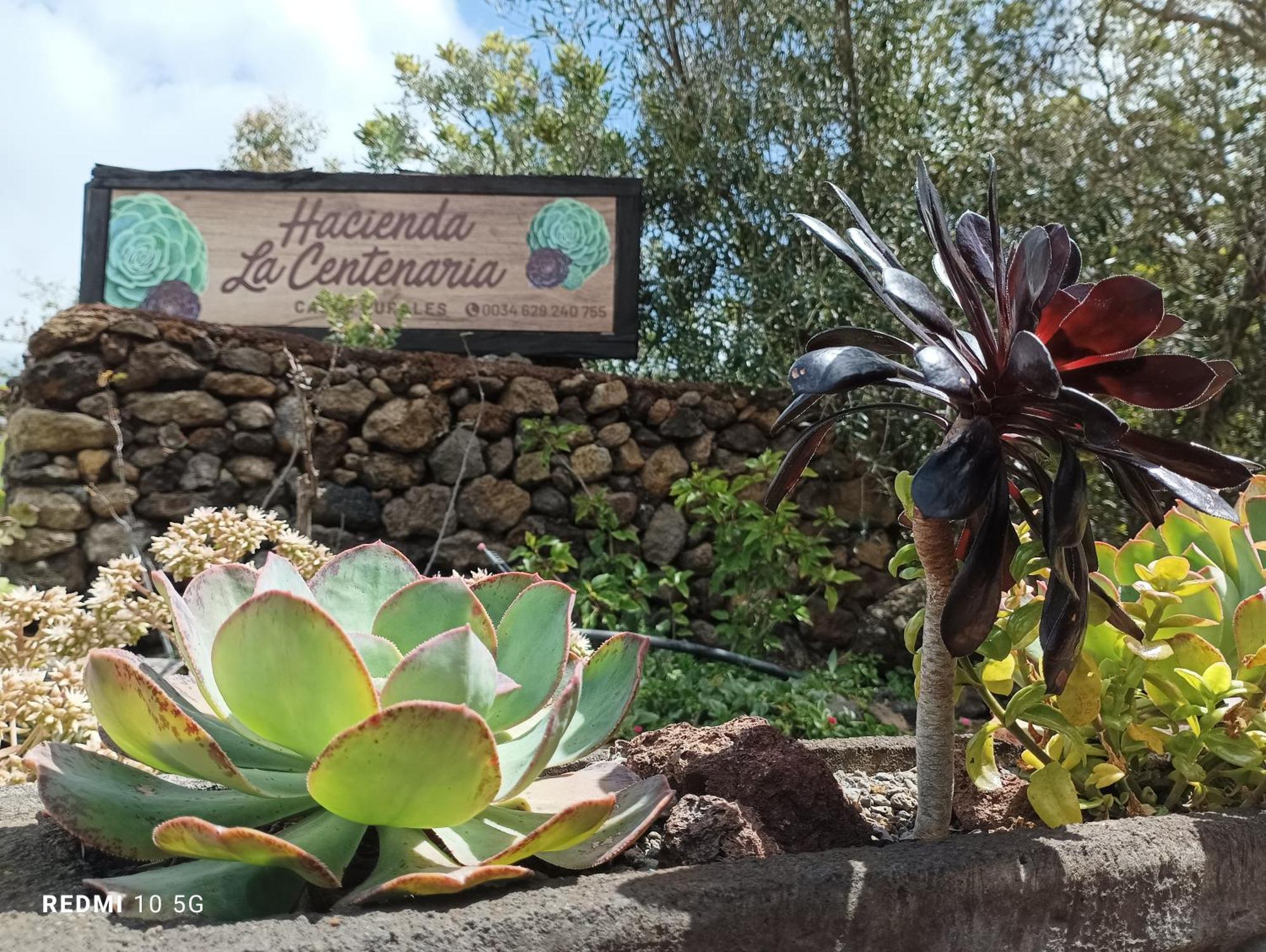 Hacienda La Centenaria,Casas Rurales เอลปาโซ ภายนอก รูปภาพ